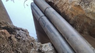 الكهرباء تطمئن أهالي الجيزة: إصلاحات محولات جزيرة الدهب تسير بخطى متسارعة وإطلاق التيار قريبا