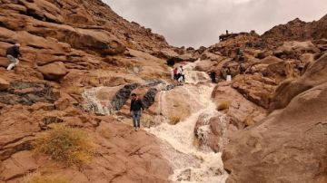 مستثمرو جنوب سيناء يشيدون بقرار فتح وديان سانت كاترين أمام السياح بعد توقف 10سنوات مستثمرو جنوب سيناء يشيدون بقرار فتح وديان سانت كاترين أمام السياح بعد توقف 10سنوات