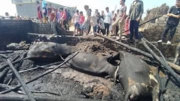 محافظ سوهاج يوجه بسرعة إنهاء أزمة حرائق برخيل محافظ سوهاج يوجه بسرعة إنهاء أزمة حرائق برخيل