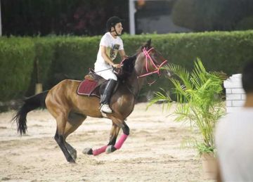 بمشاركة 104 فرسان .. انطلاق الحلقة الأولى من الموسم الصيفي للفروسية 2025 بالإسكندرية (صور) بمشاركة 104 فرسان .. انطلاق الحلقة الأولى من الموسم الصيفي للفروسية 2025 بالإسكندرية (صور)