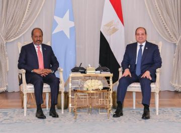 كلمة الرئيس السيسي خلال مؤتمر صحفي مشترك مع نظيره الصومالي بالعلمين (النص الكامل) كلمة الرئيس السيسي خلال مؤتمر صحفي مشترك مع نظيره الصومالي بالعلمين (النص الكامل)