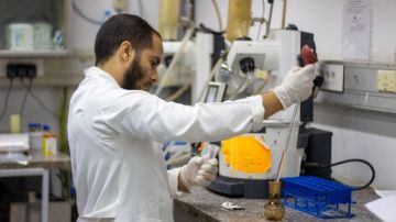 متبقيات المبيدات يستقبل العينات ويصدر النتائج لأكثر من 800 عينة خلال إجازة ثورة يوليو