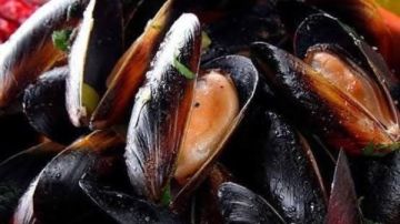 بلح البحر يشعل السوشيال ميديا.. موضة جديدة في الساحل الشمالي