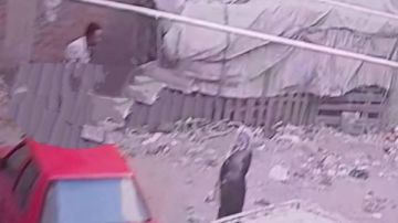 فعل فاضح أعلى سيارة محامية قرار عاجل بحق متهم في المحلة