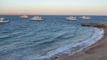 انحسار البحر في الغردقة.. مشهد دوري يكشف خبايا الأعماق ويستدعي الحذر