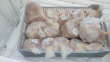 بورسعيد: ضبط 40 كيلوجراما من قطع الدجاج منتهية الصلاحية