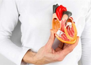 منها السبانخ والكرنب.. أهم الأطعمة المفيدة لصحة القلب منها السبانخ والكرنب.. أهم الأطعمة المفيدة لصحة القلب