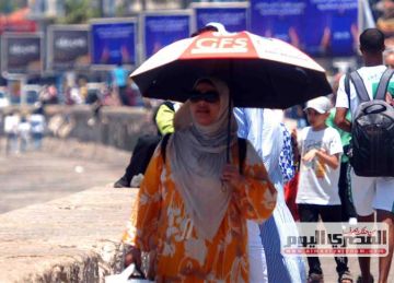 حالة الطقس الآن في محافظة الدقهلية وتحذير عاجل من الأرصاد حالة الطقس الآن في محافظة الدقهلية وتحذير عاجل من الأرصاد