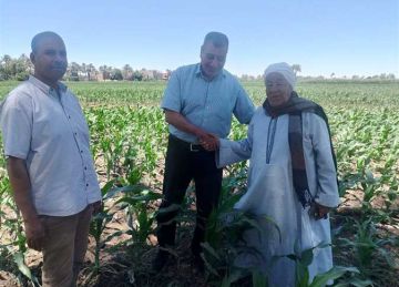 محافظ أسيوط يؤكد ضرورة تكثيف جهود المتابعة الميدانية لمحاصيل الموسم الزراعي بالقرى والمراكز