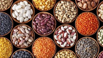  سلامة الغذاء تضبط مخالفات بالجملة في محافظات الغربية ودمياط وكفر الشيخ