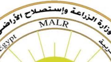 البطاطس المصرية تغزو أوروبا.. خبير بالبحوث الزراعية: التسهيلات الأوروبية خطوة استراتيجية تعكس ثقة متزايدة في المنتج الزراعي المصري