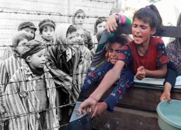 من أوشفيتز إلى غزة.. مقارنة تكشف التشابه بين مشروع المدينة الإنسانية ومعسكرات النازيين