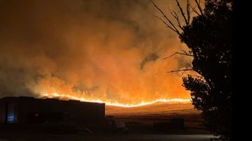 الأكبر في 2025.. حريق غابات كاليفورنيا يلتهم أكثر من 35 ألف فدان.. والسيطرة على 5 فقط الأكبر في 2025.. حريق غابات كاليفورنيا يلتهم أكثر من 35 ألف فدان.. والسيطرة على 5 فقط