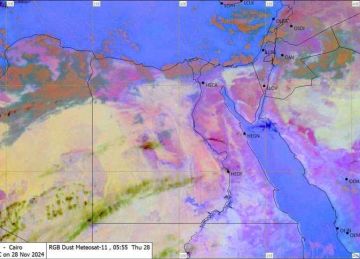 بيان مهم بشأن حالة الطقس غدا: استقبال كتلة هوائية معتدلة والقاهرة تسجل 25 مئوية بيان مهم بشأن حالة الطقس غدا: استقبال كتلة هوائية معتدلة والقاهرة تسجل 25 مئوية