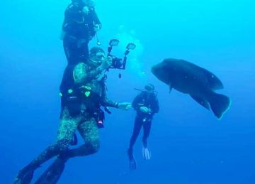 تطبيق إلكتروني ذكي لرصد الكائنات البحرية وحماية الشعاب المرجانية بالبحر الأحمر