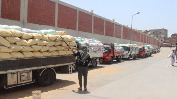 محافظ بني سويف: توريد 281 ألفا و908 أطنان قمح محلي لمواقع التخزين والاستلام