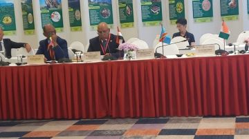 2 مليون طن .. الزراعة: مصر الأولى عالميا فى إنتاج التمور