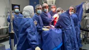 استمرت 5 ساعات.. فريق طبي يعيد الحياة لركبة مريضة خمسينية بجراحة ناجحة