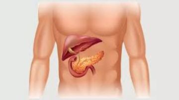 أيمن رشوان: أورام البنكرياس لا تعني نهاية الحياة.. والمشكلة في نقص الوعي