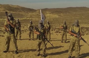 فيديو لمسلحين ملثمين يهددون مصر يثير غضبا