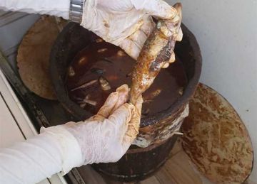 ضبط 180 كيلو أسماك مملحة غير صالحة للاستهلاك في حملة تموينية بكفر الشيخ ضبط 180 كيلو أسماك مملحة غير صالحة للاستهلاك في حملة تموينية بكفر الشيخ