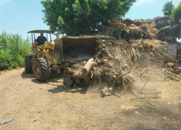 إزالة مكامير فحم مخالفة خلال حملات بمركزي أجا وميت غمر في الدقهلية