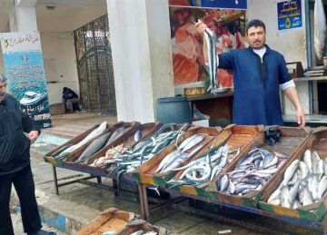 البربون بـ320 جنيها والقاروص بـ450.. أسعار الأسماك والمأكولات البحرية اليوم في مطروح