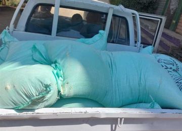 ضبط 7 طن دقيق مدعم في حملات أمنية بالمحافظات خلال 24 ساعة