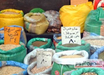 العدس والفاصوليا.. أسعار البقوليات في أسواق الشرقية اليوم الثلاثاء 1 يوليو 2025