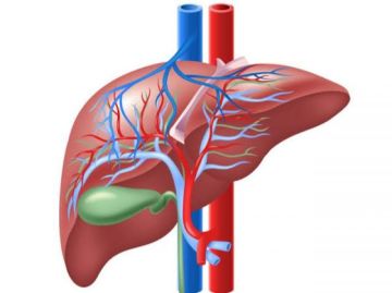 الصحة العالمية: التهاب الكبد الوبائي د مرض مسبب للسرطان