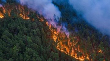 حتى لدى الأفراد الأصحاء.. التعرض لدخان الحرائق قد يؤثر على الجهاز المناعي حتى لدى الأفراد الأصحاء.. التعرض لدخان الحرائق قد يؤثر على الجهاز المناعي