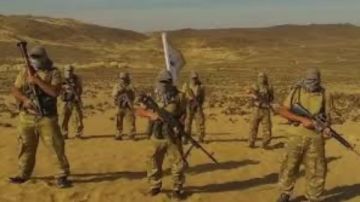 باحث سياسي: الدولة لم تعد تنتظر وقوع الجريمة.. وتفكيك خلية حسم يجسد جاهزية الردع الاستباقي