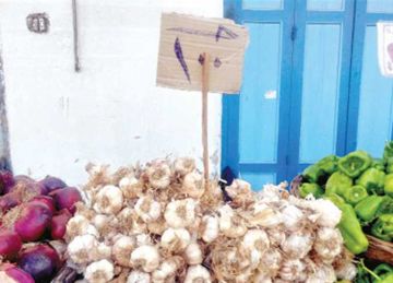 الثوم بـ 80 جنيه الكيلو .. أسعار الخضروات بأسواق مطروح اليوم الثلاثاء 8 يوليو 2025