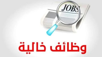 4 وظائف مطلوبة بمديرية التربية والتعليم بشمال سيناء.. الشروط وطريقة التقديم
