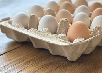 تناول البيض أسبوعيا قد يقلل من خطر الإصابة بـ ألزهايمر بنسبة 40 دراسة 