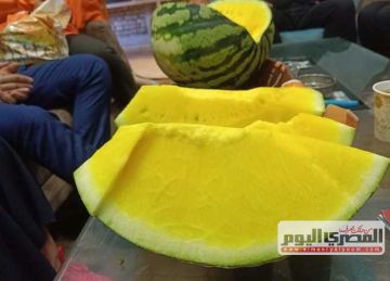 البطيخ الأصفر بـ40.. أسعار الفاكهة اليوم في مرسى مطروح البطيخ الأصفر بـ40.. أسعار الفاكهة اليوم في مرسى مطروح