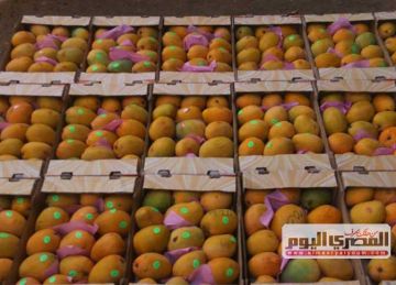 أسعار الخضار والفاكهة في المنوفية اليوم الخميس 10 يوليو 2025 أسعار الخضار والفاكهة في المنوفية اليوم الخميس 10 يوليو 2025
