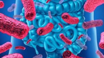 5 علامات صامتة تشير إلى أن صحة الأمعاء في خطر وتحتاج إلى اهتمام فوري