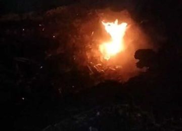 السيطرة على حريق نشب في أشجار نخيل بقنا