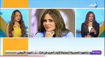 تفاصيل واقعة اتهام مها الصغير بسرقة لوحة فنية لرسامة دنماركية