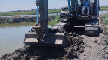 إزالة 4 مزارع سمكية مخالفة بمنطقة سهل جنوب بورسعيد