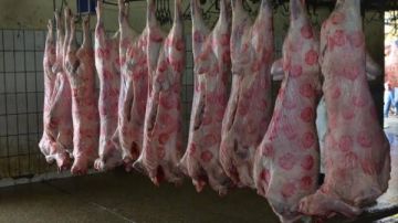 في ذكرى 30 يونيو.. هدية الحكومة للمواطنين بخفض أسعار اللحوم خلال ساعات في ذكرى 30 يونيو.. هدية الحكومة للمواطنين بخفض أسعار اللحوم خلال ساعات