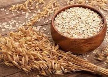 لماذا يعد الشوفان خيارا مثاليا لإنقاص الوزن؟.. إليك فوائده السحرية