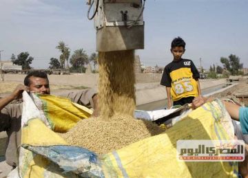 بكام طن الشعير؟.. أسعار الأرز وقائمة السلع اليوم الخميس 10 -7-2025 في أسواق الشرقية