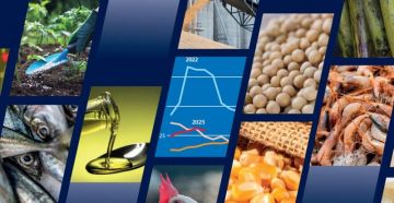 معلومات الوزراء: نمو استهلاك السلع الزراعية والأسماك بنسبة 13 بحلول عام 2034