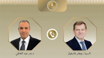 وزير الخارجية يؤكد ضرورة حقن دماء الفلسطينين وضمان تدفق المساعدات إلى غزة