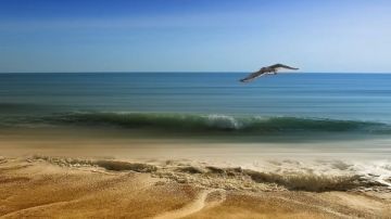 ارتفاع أمواج البحر المتوسط السبب في إغلاق الشواطئ؟.. الأرصاد تجيب فيديو