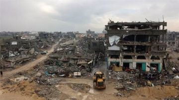 فاو: 4.6 فقط من أراضي قطاع غزة صالحة للزراعة فاو: 4.6 فقط من أراضي قطاع غزة صالحة للزراعة