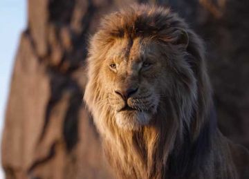 فرص جديدة ومصدر دخل إضافي.. حظ برج الأسد في شهر يوليو 2025 فرص جديدة ومصدر دخل إضافي.. حظ برج الأسد في شهر يوليو 2025