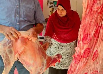 إعدام لحوم غير صالحة وتحرير 18 مخالفة بيطرية في حملات بالمنيا